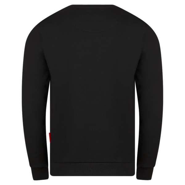 Premium APR Essentials Sweater Rubber schwarz – Produktnummer APRCW41108727 | VTEC Chiptuning