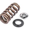 APR Ventilfeder Kit (1 Set) – Produktnummer MS100258 | VTEC Chiptuning