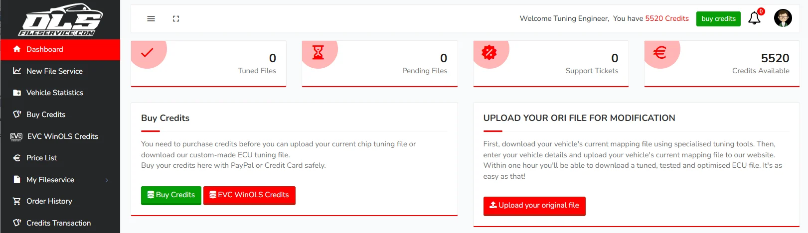 VTEC file service portal dashboard with original file upload and credit overview